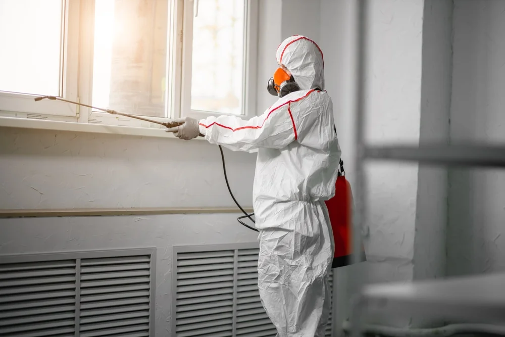 Professional mold remediation services in Decatur, TX